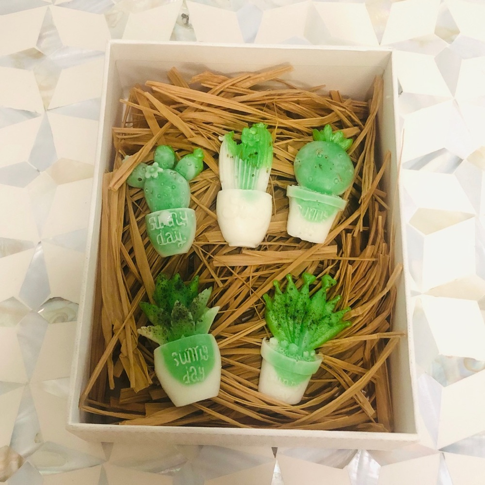 🌳 NWT Plant Soap Set - Picture 3 of 3